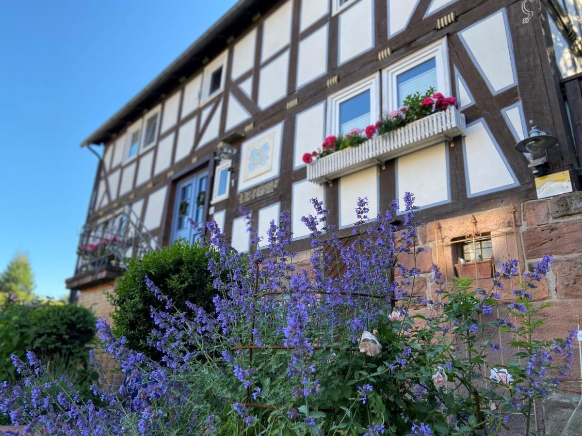 Werts Hof Ferienwohnen Hébergement de vacances *
